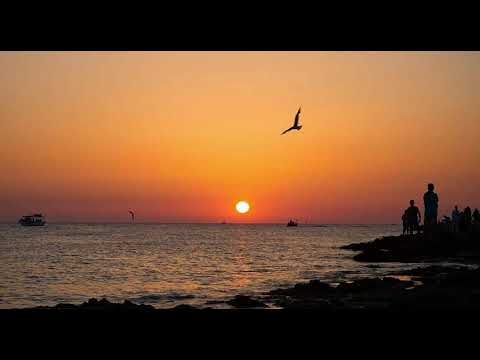 52nd 2020 (N’to, Deniz Kabu, Dizharmonia, Morttagua, Arctic Moon) Melodic Techno & Progressive House