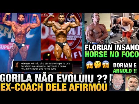 EX COACH DO GORILA DIZ QUE ELE NÃO EVOLUIU - HORSE VOLTA AOS TREINOS - FLORIAN ESTÁ ABSURDO