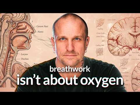 The Real Reason Breathwork Changes Your Brain