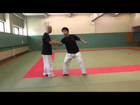 札幌太極拳練精会　崩し