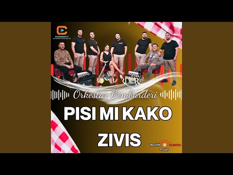 Pisi mi kako zivis (Cover)