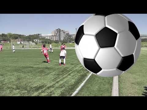 Pyunik(3-08) - Ararat(08)_3-1