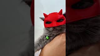 Cat Dare Devil Helmet #drshiela3dprints