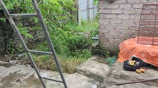 hệ thống 45kw điện mặt trời gép 3 máy 1pha thành 3pha....