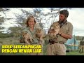 Kisah Persahabatan Manusia Dengan Hewan Liar Alur Cerita Film
