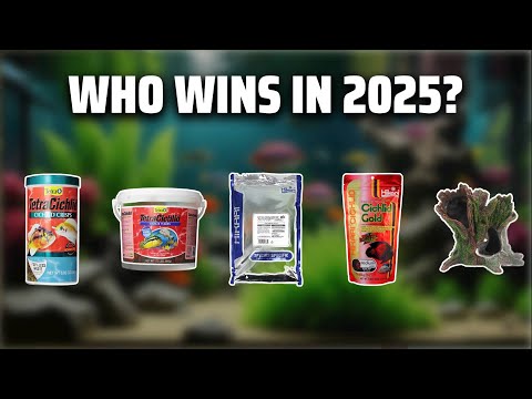 The Top 5 Best Cichlid Fish in 2025 - Must Watch Before Buying!