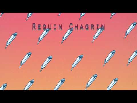 Requin Chagrin - Adelaïde
