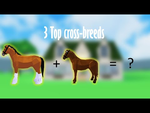YouTube video about: How to get granola bars in horse haven?