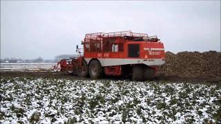 preview picture of video 'Beet Eater in de sneeuw'