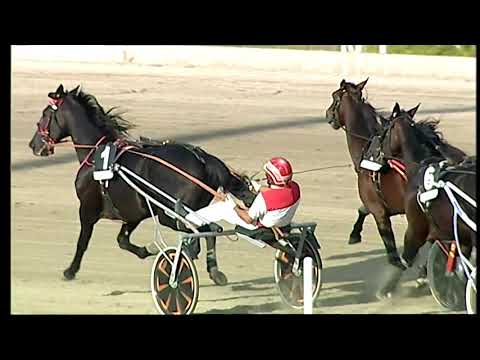 Napoli Trotto 15/10/2021 - 5ª corsa