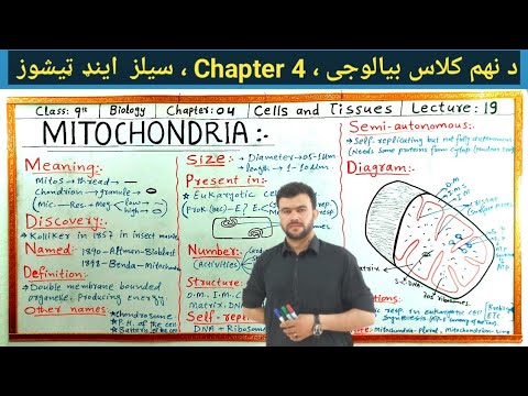 Mitochondria class 9 in Pashto | Powerhouse of the Cell | Full Explanation with Diagram by Sabar kha