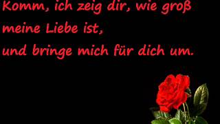 Toten Hosen Alles aus Liebe