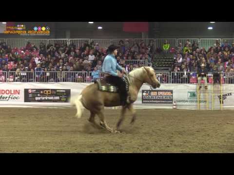 ANDREA MANUCCI - GREAT BLOND WHIZ - FUTURITY CREMONA 2016