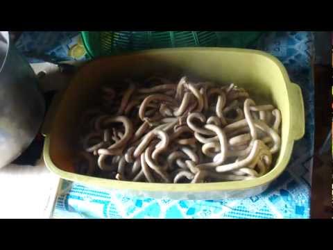 Kung paano alisin ang taba mula sa tiyan at mga gilid sa bahay para sa mga kababaihan Hudey masarap na mga recipe Chicken