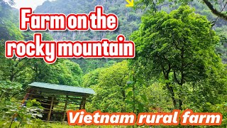 Cuộc Sống Nông Thôn Ở Việt Nam Trang Trại Trên Núi Cao