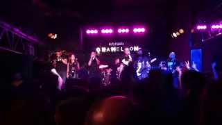 Five Iron Frenzy - Handbook for the Sellout - Live at The Chameleon Club in Lancaster, PA