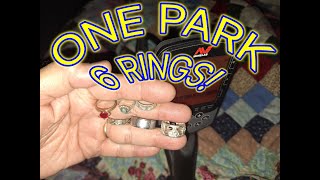 The Shocking Truth About Metal Detecting in Parks