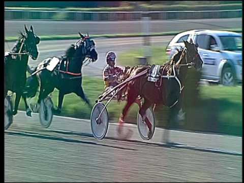 Trotto 22/05/2016 - 7° corsa