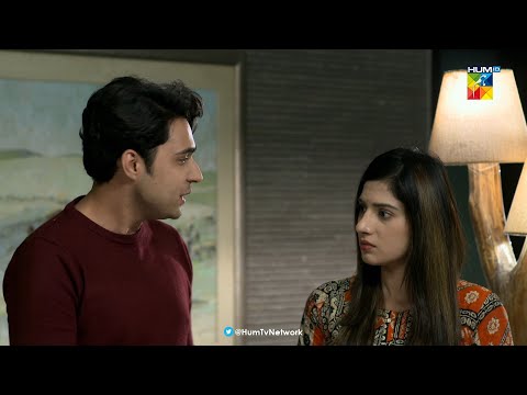 Tum Meri Behan Hote Huye Aesa Karogi Mere Sath...Beqadar - HUM TV Drama