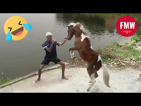 Funny & Hilarious People's Life 😂 #90 - Try not to Laugh | Unusual Memes Compilation 2024.