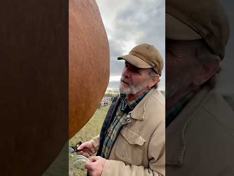 Why is the horse's head swollen ? #rescue #animals #wildliferescue #horse