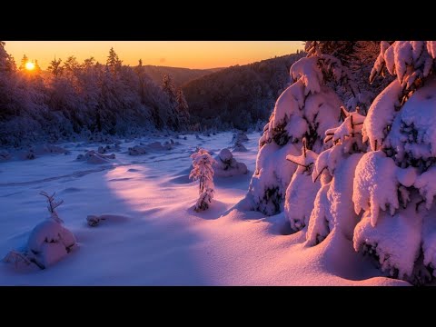 Neptune Project With Luke Bond & Christopher Lovell — Orenda (Original Mix)