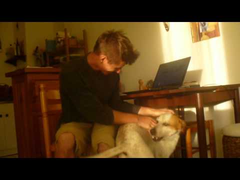 Gipsy un locataire très enthousiaste