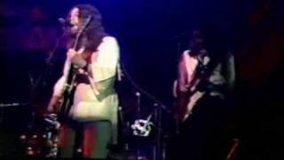 Steve Hillage - Hurdy Gurdy Man