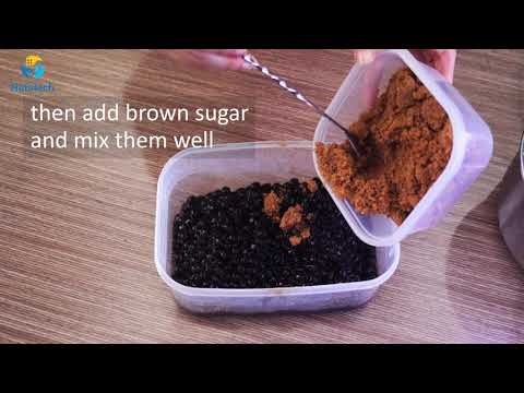 download lagu mp3 mp4 Oolong Bubble Tea, download lagu Oolong Bubble Tea gratis, unduh video klip Oolong Bubble Tea