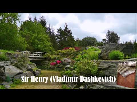 Sir Henry (Vladimir Dashkevich) - 21 key Kalimba cover (audio only)