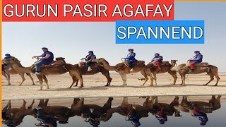 Download lagu NAEK ONTA DI GURUN PASIR AGAFAY MAROKKO - KAMEELRIT IN AGAFAY MARRAKESH mp3