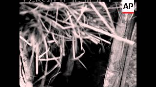 Download lagu MEMANEN PADI - TANPA SUARA mp3