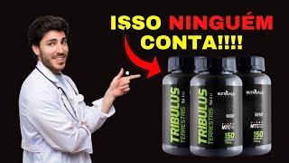 Tribulus Terrestris Onde Comprar? Tribulus Terrestris Funciona Mesmo? Saiba Mais Sobre o Tribulus