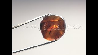   Křídový jantar B-248