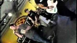 Green Lizard - Mouthful