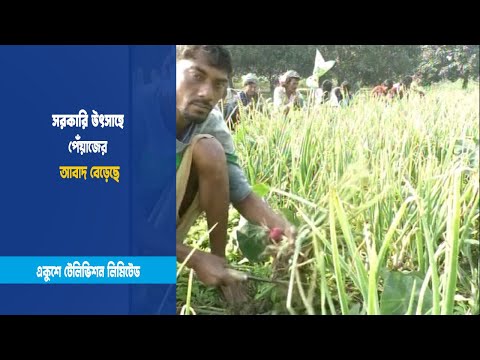 সরকারি উৎসাহে পেঁয়াজের আবাদ বেড়েছে | ETV News