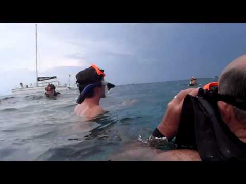 Snorkeling on the Castaway Girl