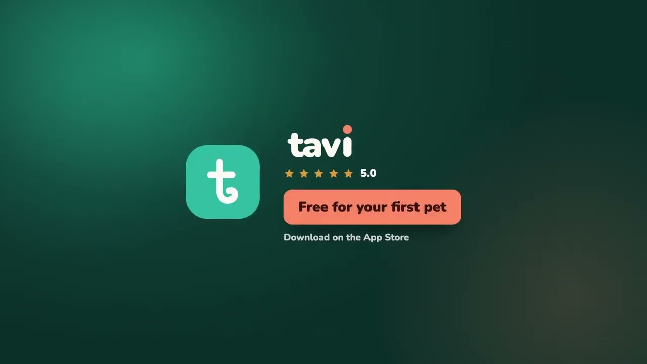 Tavi : Pet Health Tracker video preview