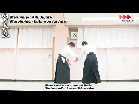 Meishinryu Aikido techniques 明真流　合気道の稽古 #aikido #合気道 #天照会 2026 0402 01