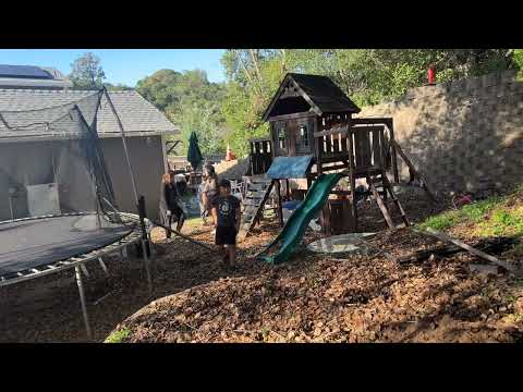 20251125 El perro de la familia, Keana, falleció al salir del clóset.