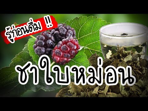 วิธีการปลุกระดมเรื่องผู้หญิง เพลี้ยกระโดดสีน้ำตาลและความอ่อนแอ