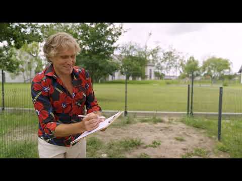 Small garden arrangements - how to plan and create a garden? | Garden from scratch