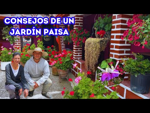 , title : 'El jardín de artemisa, el consejo que te hará florecer tus plantas, mira sus cuidados |AP'