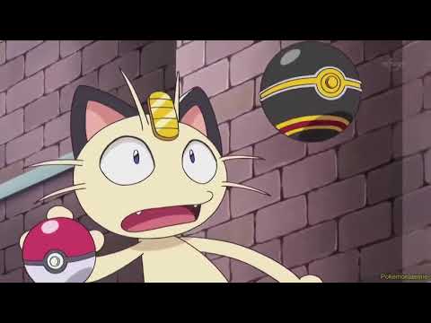 Pikachu casi atrapa al Meowth del equipo rocket en una Lujo Ball (Audio Latino)
