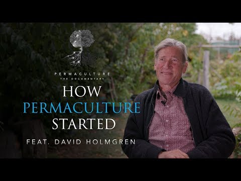 Video-Thumbnail von YouTube