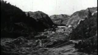 Video thumbnail for Basic Audio Zippy Fuzz by Joe Gagan by John Lyons