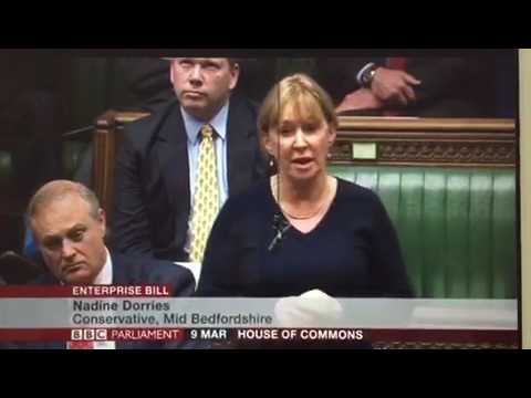 Nadine Dorries辯論企業法案 (Nadine Dorries Debating The Enterprise Bill)
