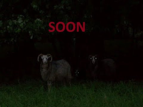 PerenniaDeath Corona Trials - Guest trailer #1