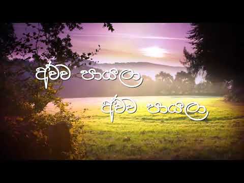 අව්ව පායලා අව්ව පායලා / Awwa payala awwa payala