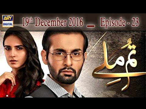 Tum Milay Episode – 23 – 19th December 2016 | ARY Digital Drama